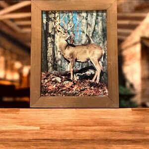 Rustic Framed Whitetail Deer Forest Print Wall Art Nature Decor